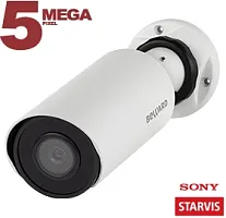 Видеокамера сетевая (IP) SV3210R2